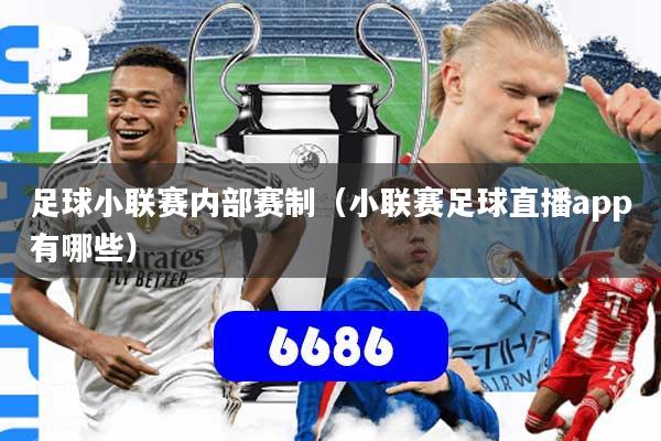 足球小联赛内部赛制（小联赛足球直播app有哪些）