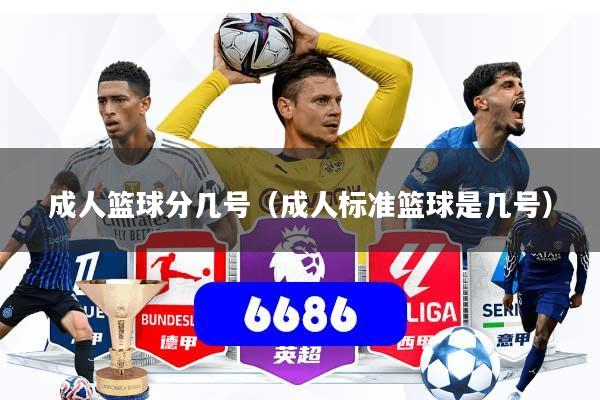成人篮球分几号（成人标准篮球是几号）