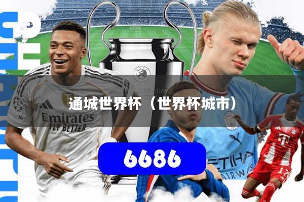 通城世界杯（世界杯城市）