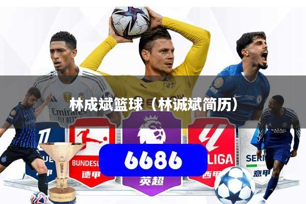 林成斌篮球（林诚斌简历）