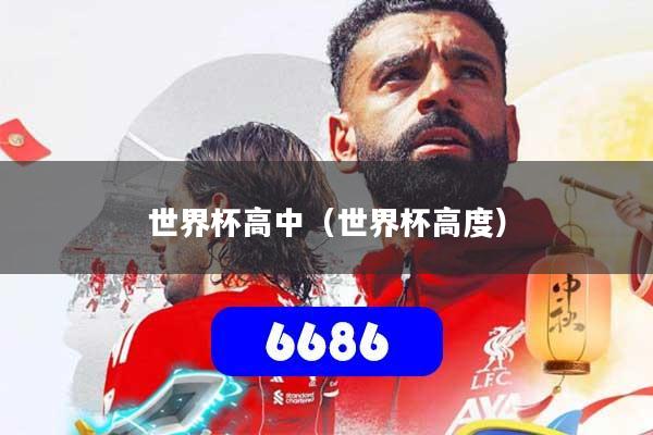 世界杯高中（世界杯高度）