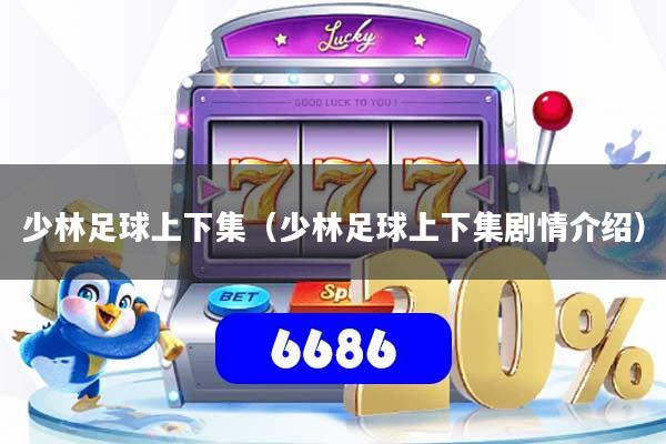 少林足球上下集（少林足球上下集剧情介绍）