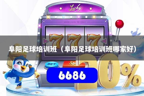 阜阳足球培训班（阜阳足球培训班哪家好）